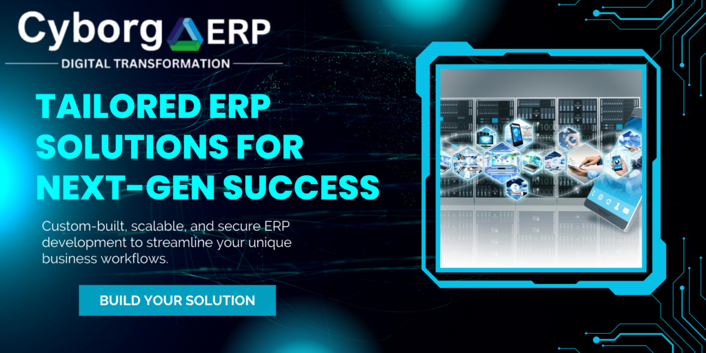 ERP Development Services